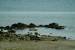Pagina 25